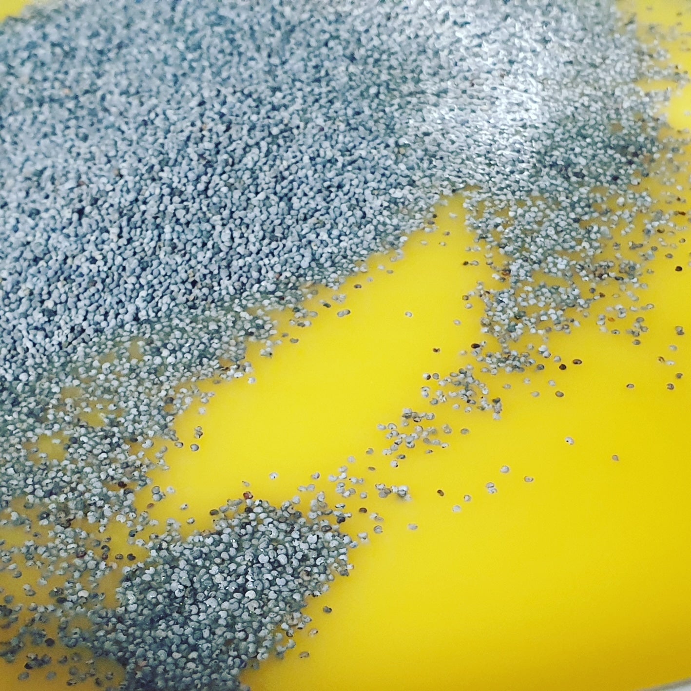 POPPY SEED DANCE #13 Blaumohn-Peelingseife mit Zitronengrasextrakt und Kakaobutter, beduftet, 130 g